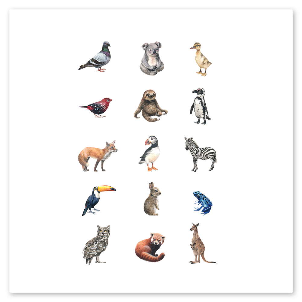  Mini Animal Kingdom Tattly Temporary Tattoos、mySite、ghnorth