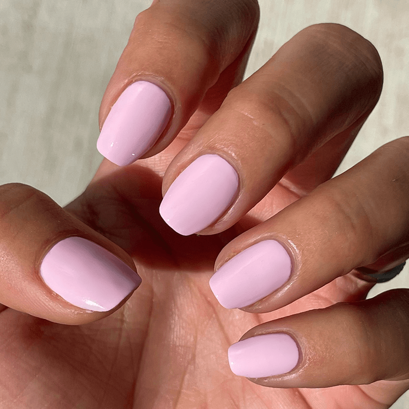 SCL、mySite、solidvoid