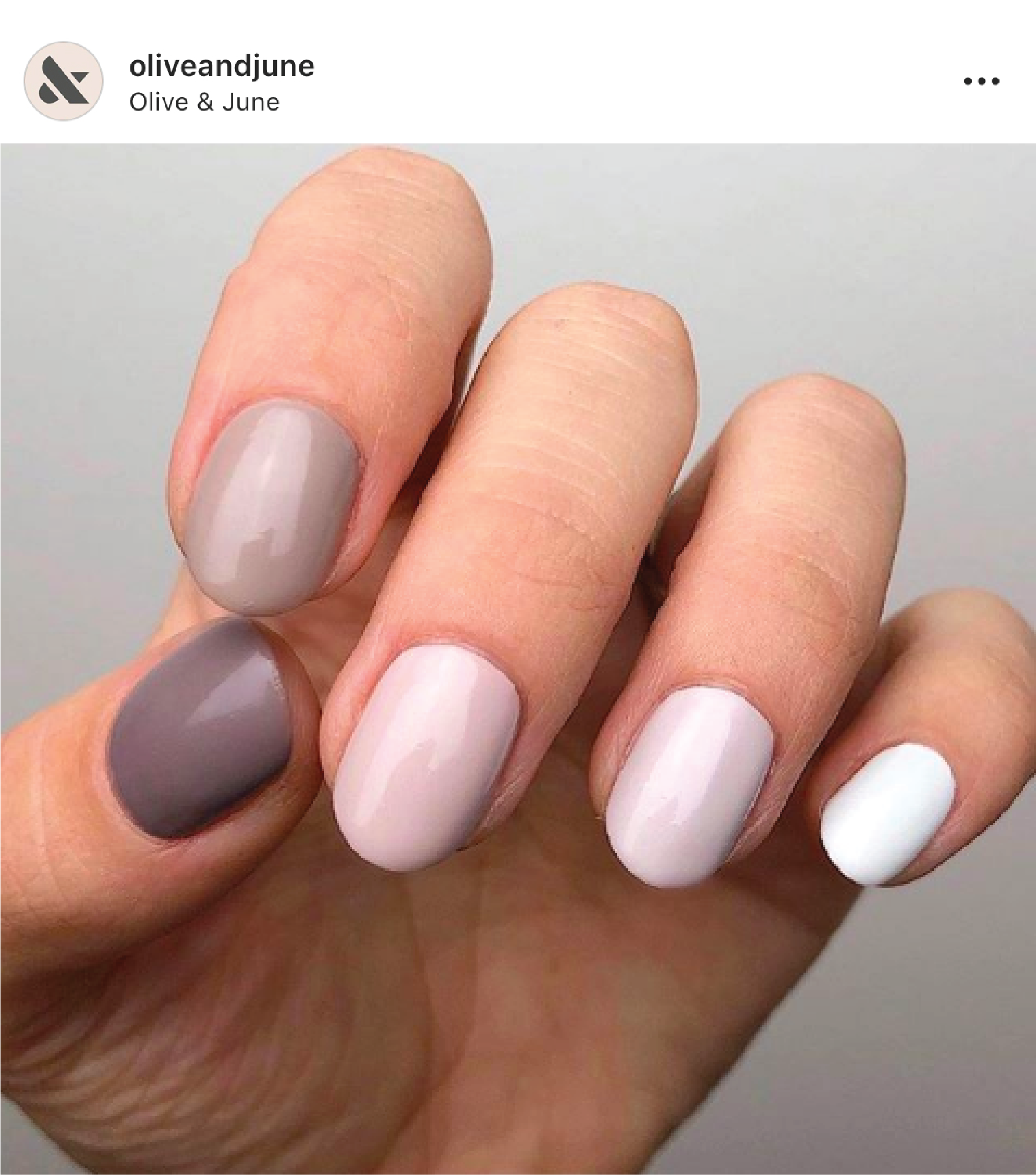 5 Shades Of Grey Set、mySite、solidvoid