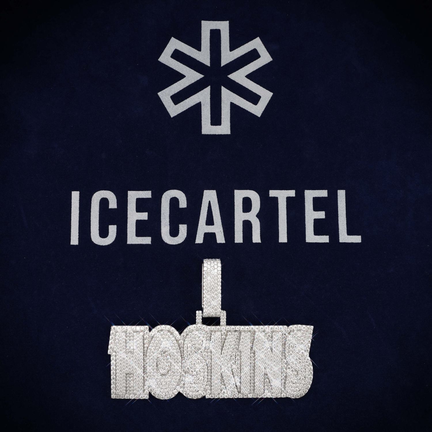 HOSKINS Custom Moissanite Name Pendant 14K Gold、mySite、hinf8tx79