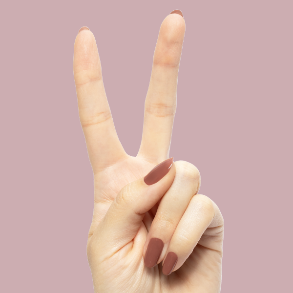 Shacket - Gel、mySite、solidvoid