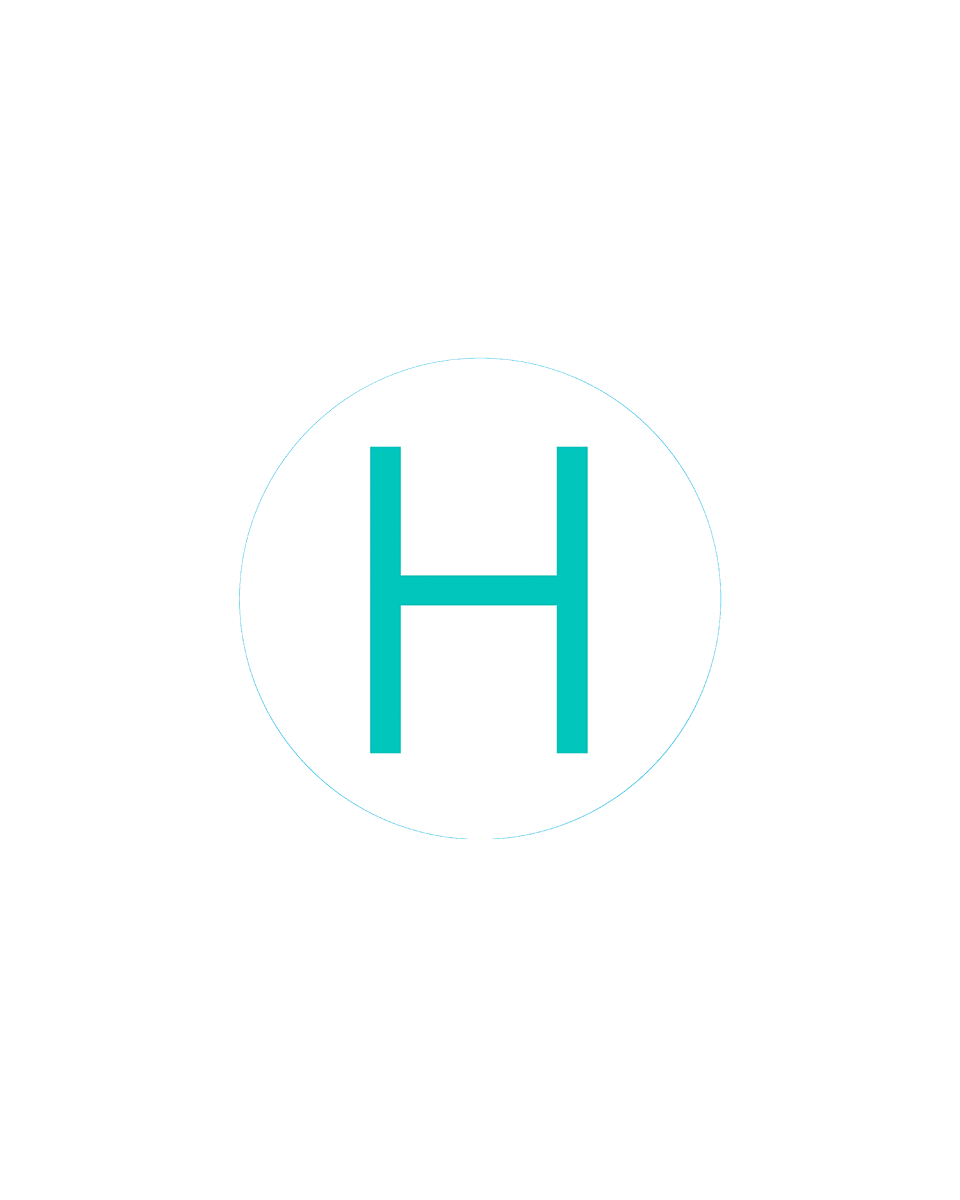 Bogg Bit - Initial H、mySite、solidvoid