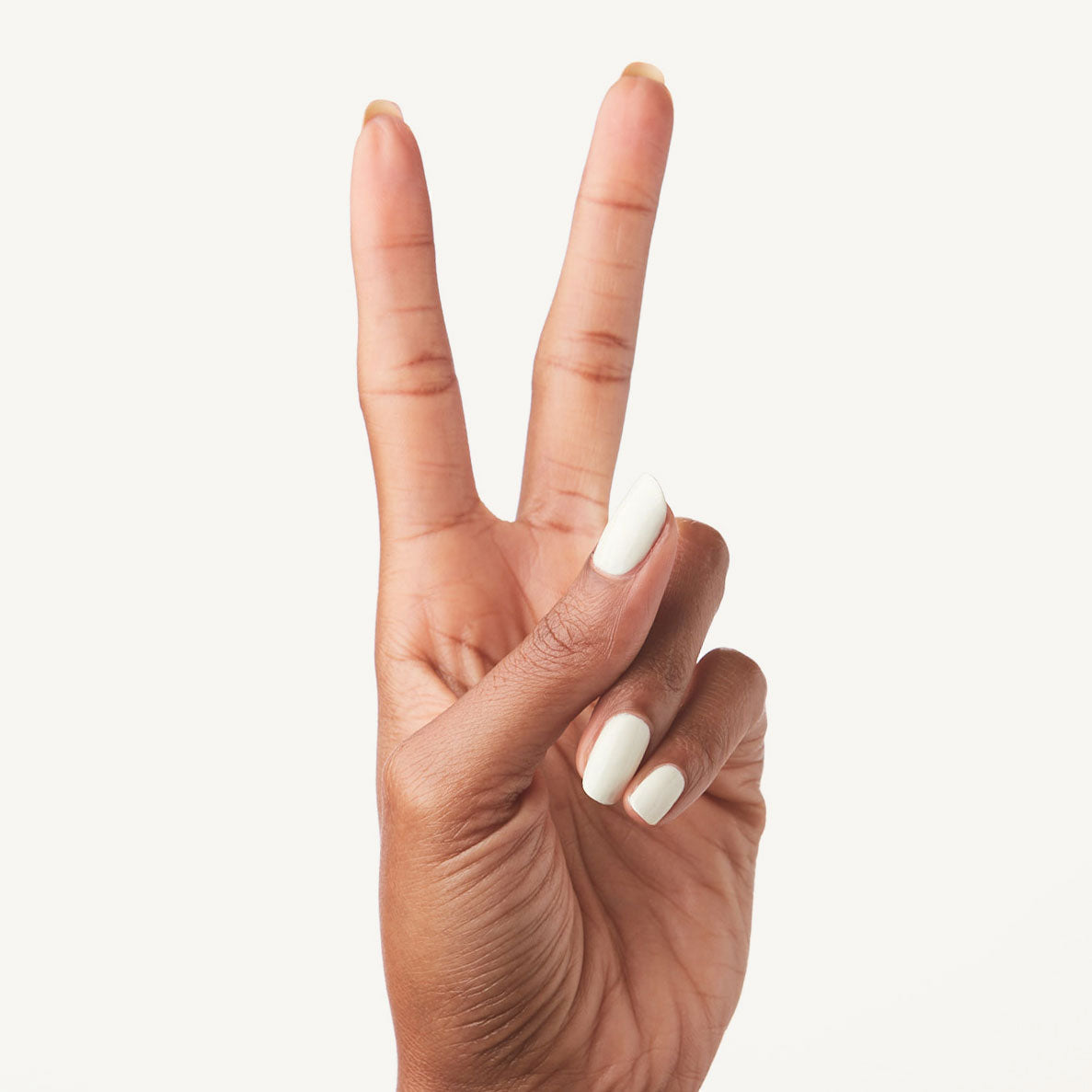 Bunny Slope、mySite、solidvoid