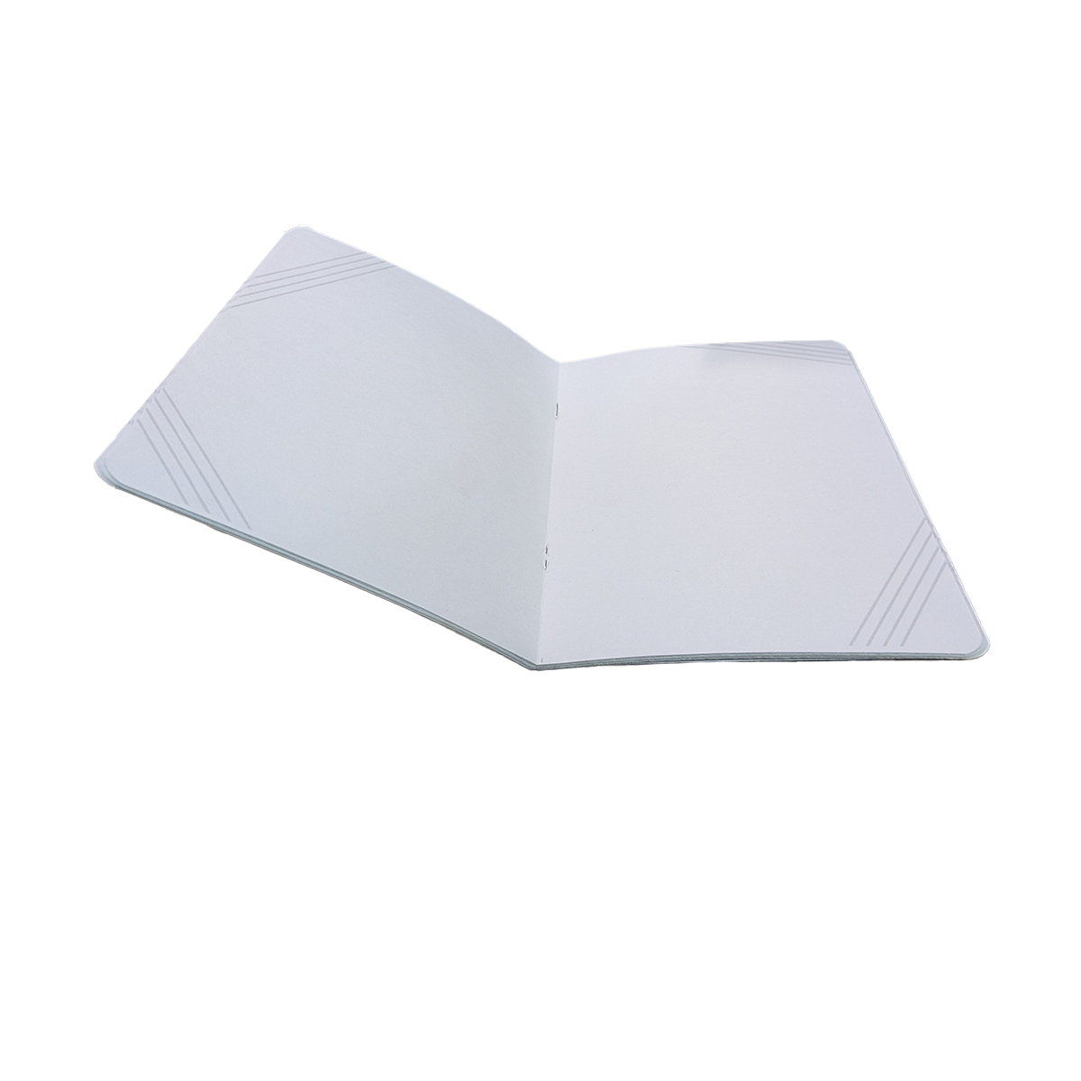 Pokémon TCG: Fall 2022 Collector Journal、mySite、waistdrama