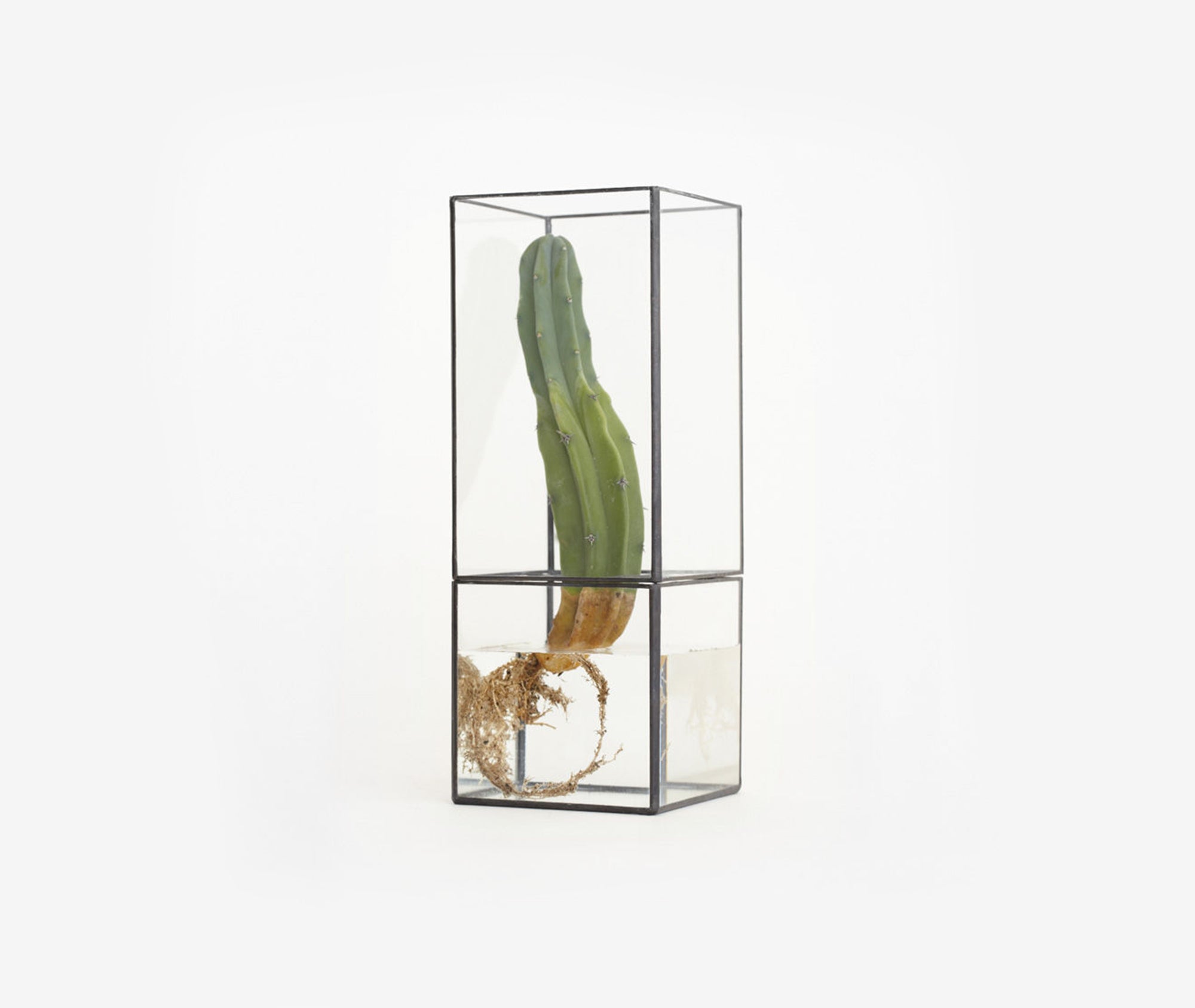 Hydro 175:100 Terrarium、mySite、topwebapps