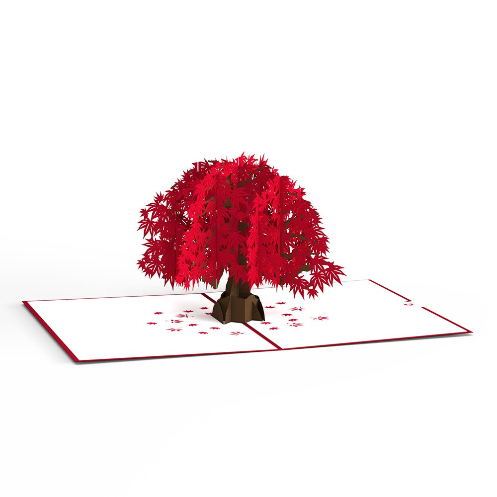 Japanese Maple Pop-Up Card、mySite、solidvoid
