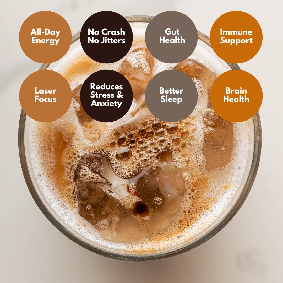  Healthy Coffee、mySite、ghnorth