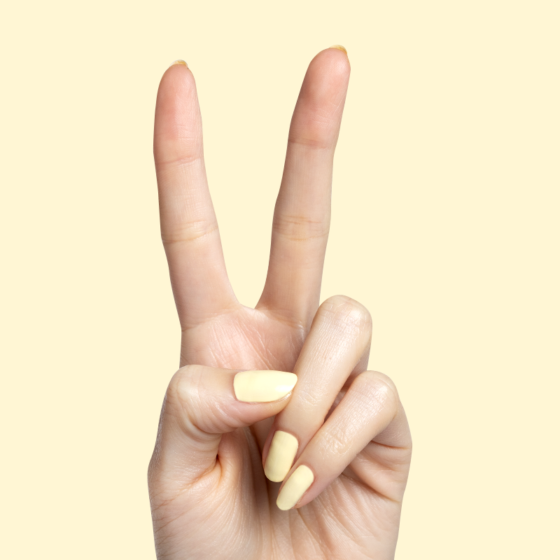 Sunny、mySite、solidvoid