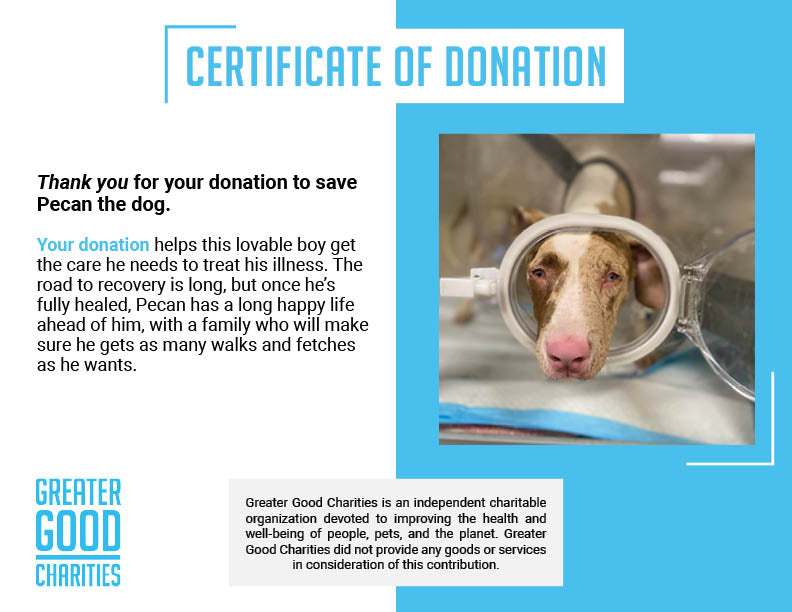 Funded - Help Pecan Breathe Easy、mySite、camillekostekn