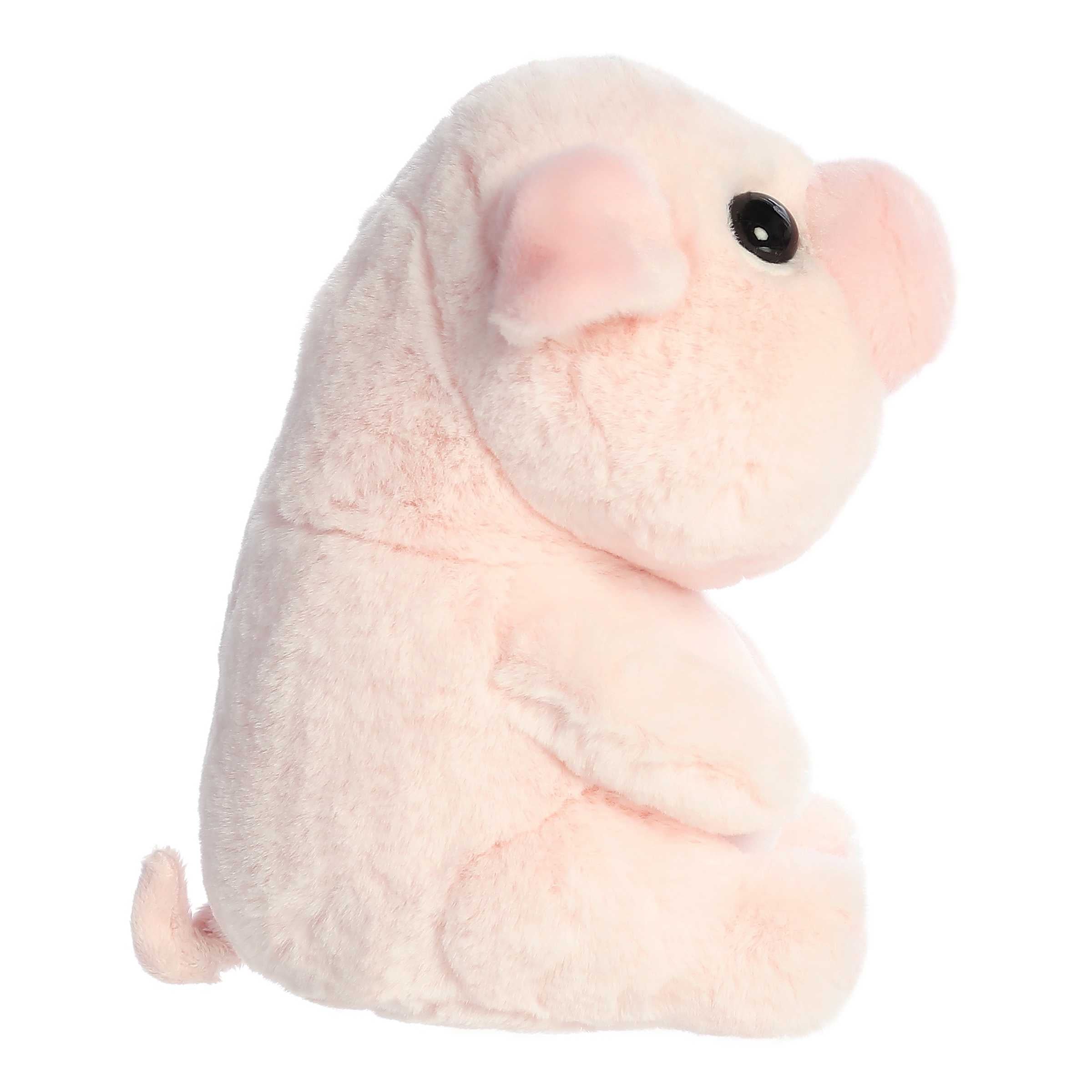 Aurora® - Boop™ - 9 Petunia™、mySite、g9winljtr