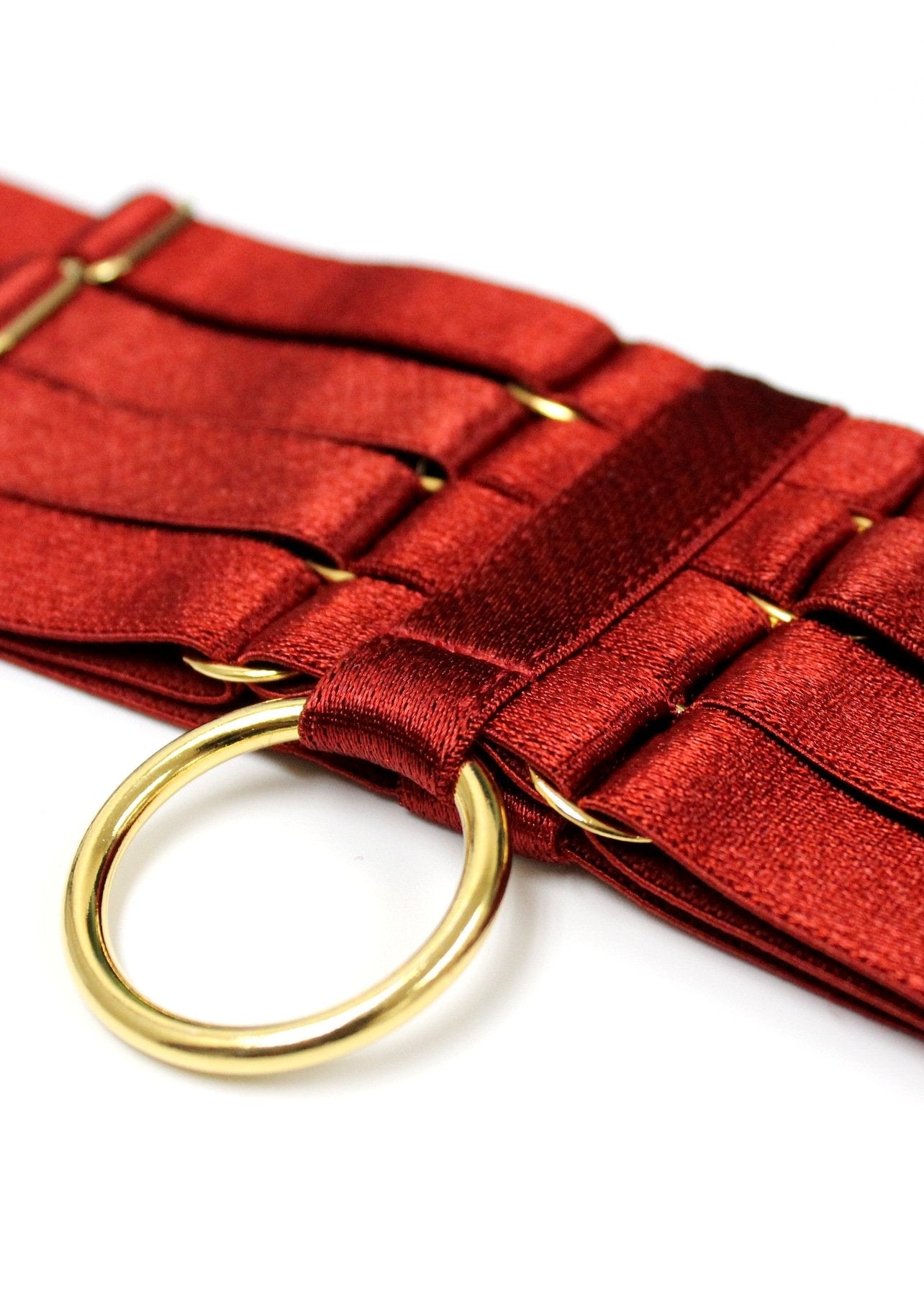  Bondage Webbed Garter (Burnt Red)、mySite、justintrudeaud