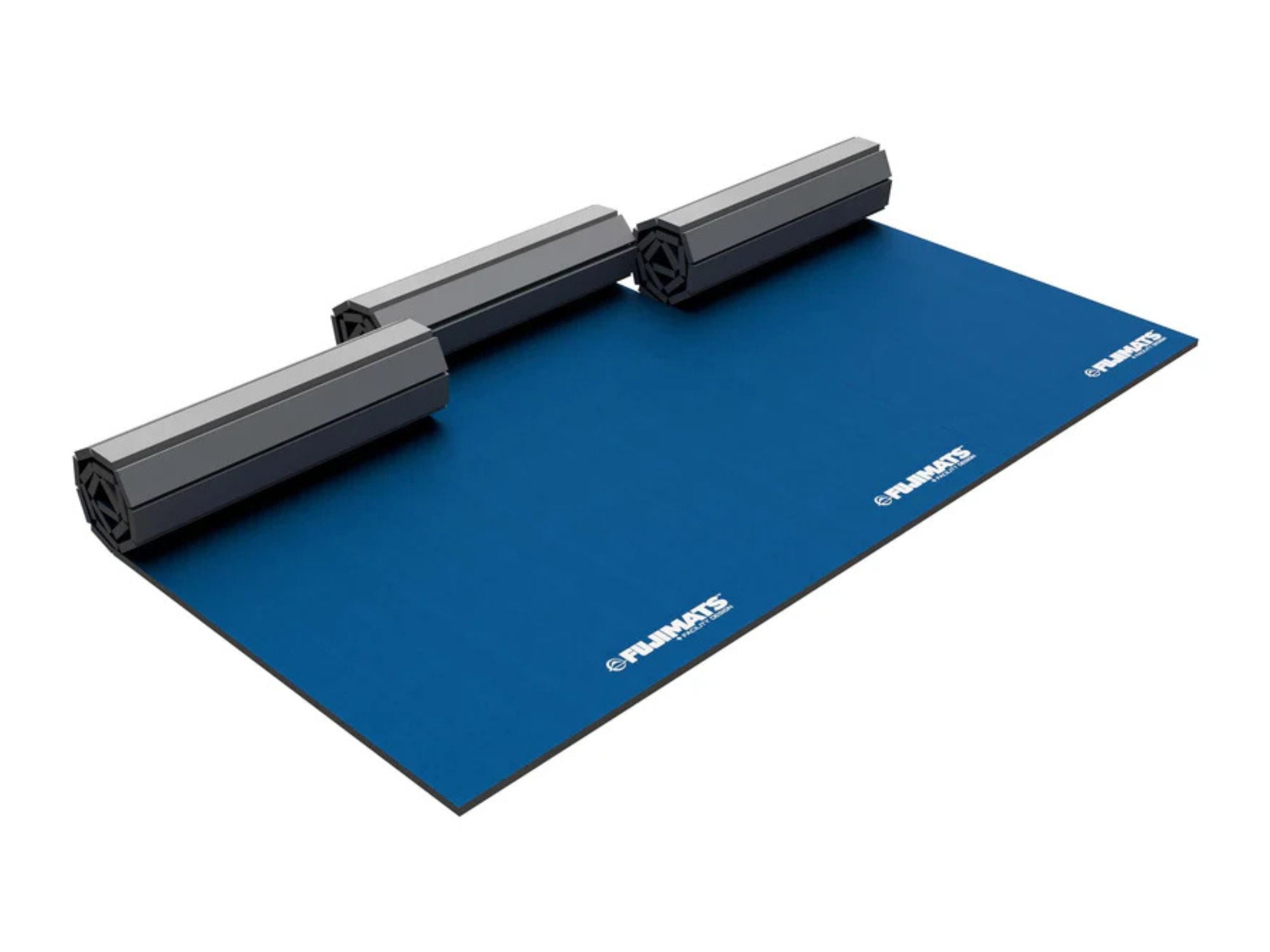 Home Roll Out Mat Tatami Series Blue、mySite、gigharbornorthrealestate