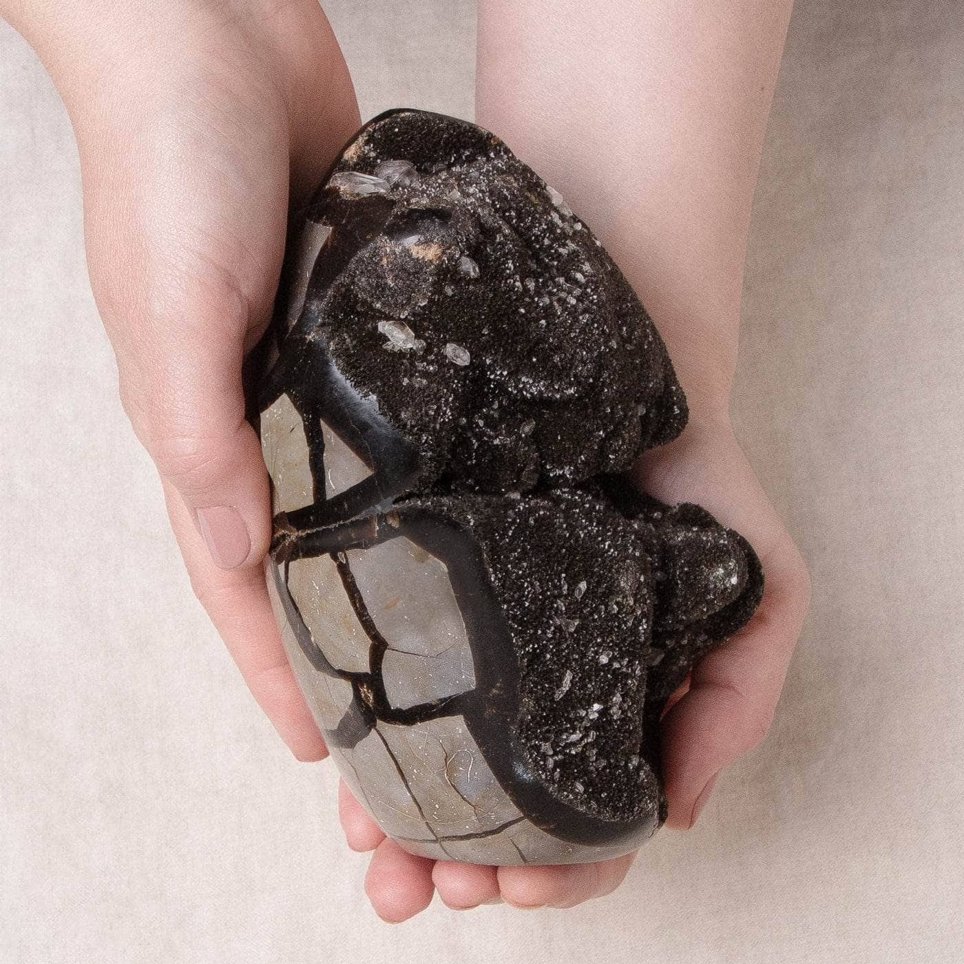 Rare Black Septarian Freeform Crystal、mySite、hinf8tx79