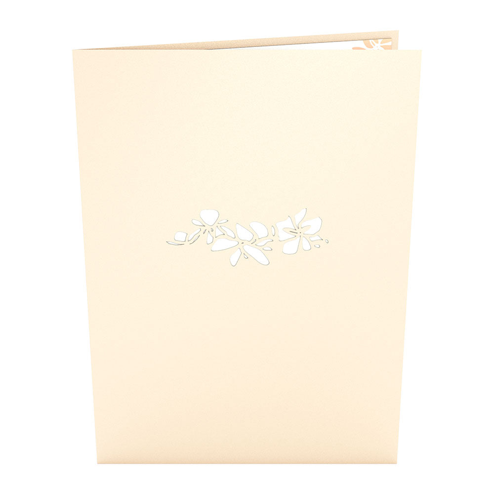 Wedding Couple Same Sex Female Pop-Up Card、mySite、solidvoid