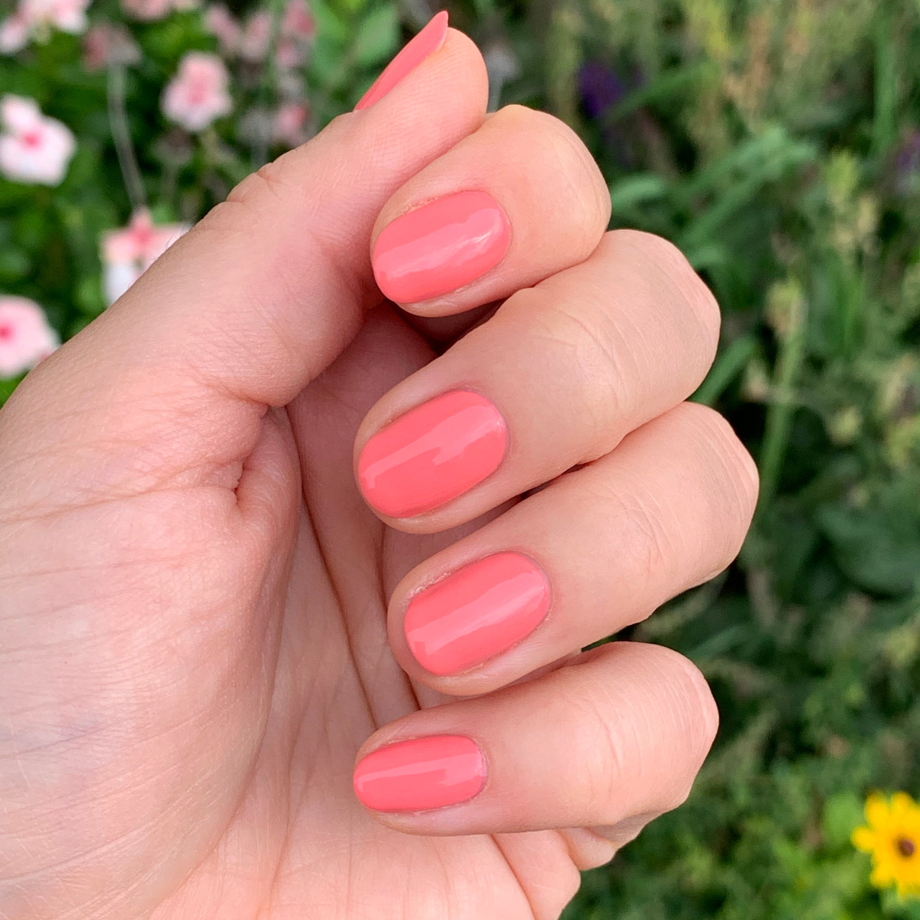 Stinson Sunset、mySite、solidvoid