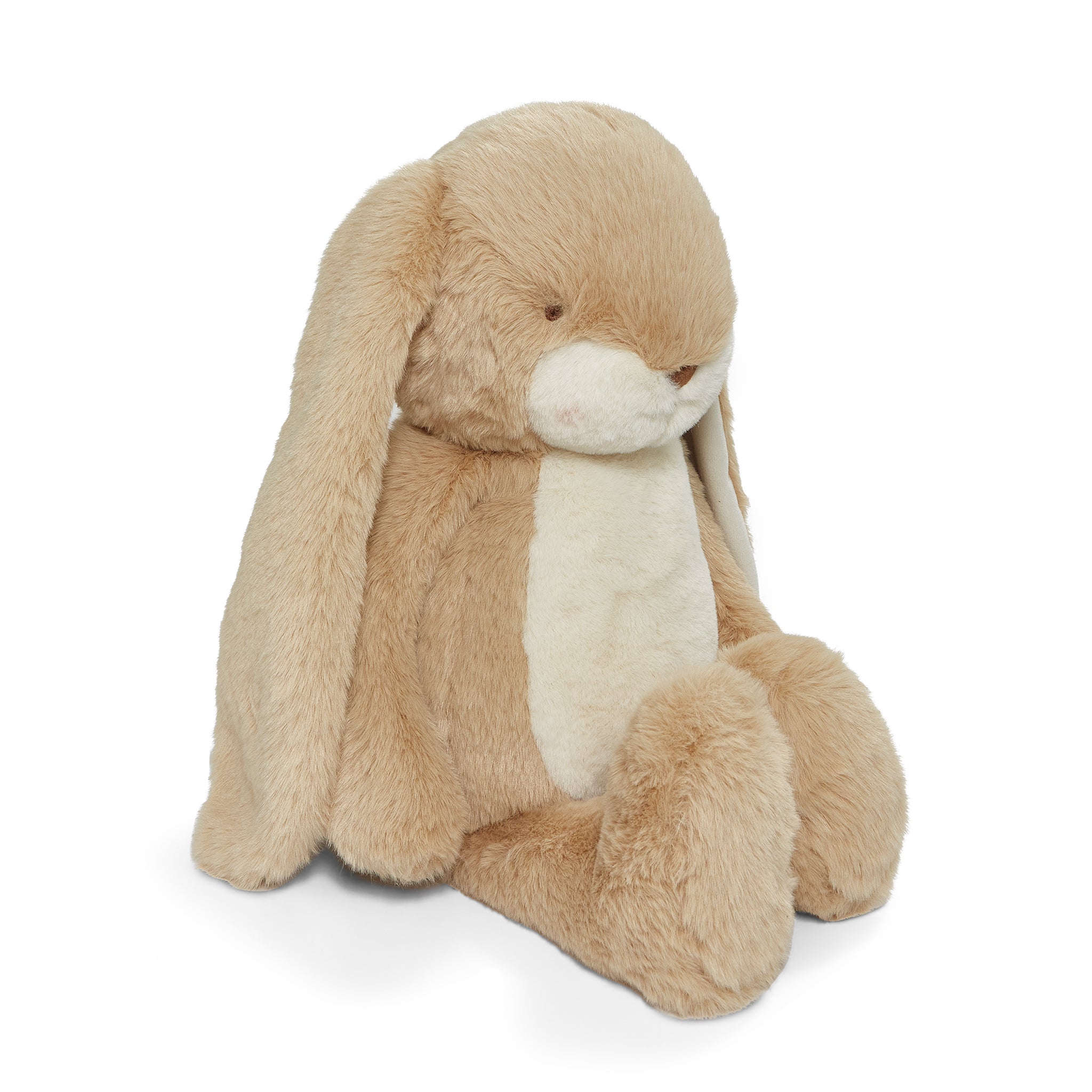 Big 20 Floppy Nibble Bunny - Almond Joy、mySite、g9winljtr