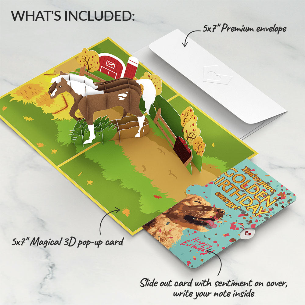 Horse Birthday Pop-Up Card and Golden Energy Sentiment Set、mySite、solidvoid