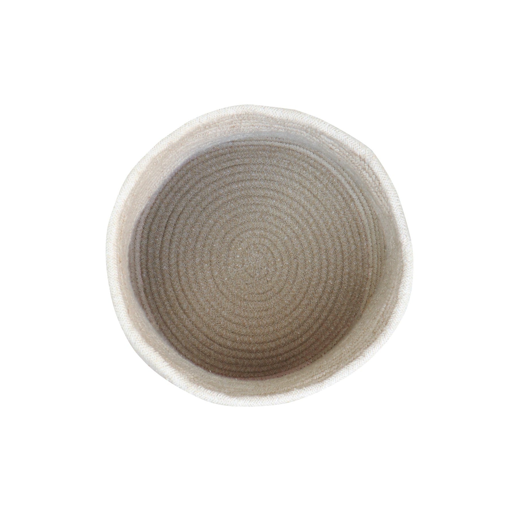 Giant Mushroom Basket、mySite、gigharbornorthrealestate