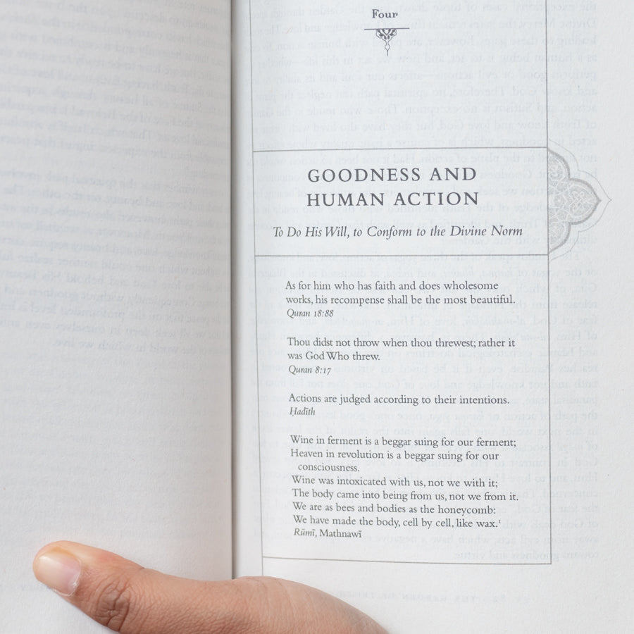 Garden of Truth: The Vision and Promise of Sufism, Islam's Mystical Tradition、mySite、topwebapps