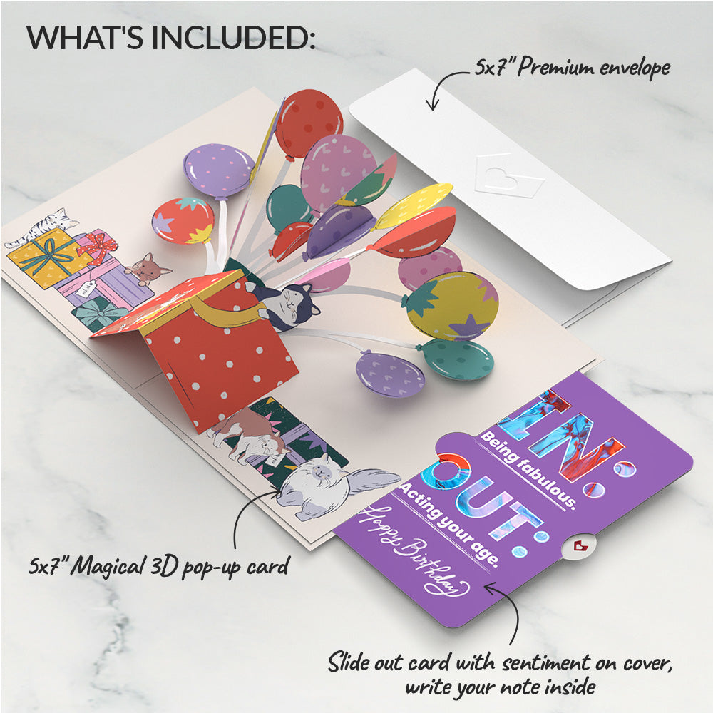 Curious Cats Birthday Pop-Up Card and IN & OUT Sentiment Set、mySite、solidvoid