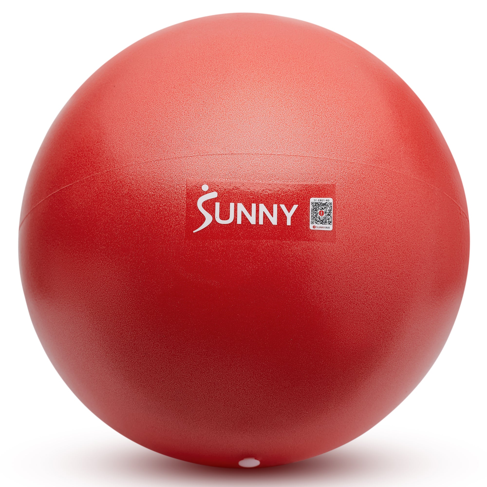  Premium Pilates Ball 9”、mySite、ghnorth