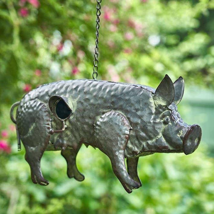 Galvanized Pig Bird House Patio Decor、mySite、g9winljtr
