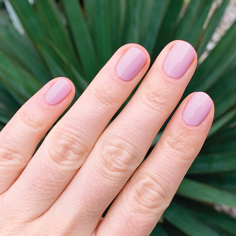 Cockatoo、mySite、solidvoid