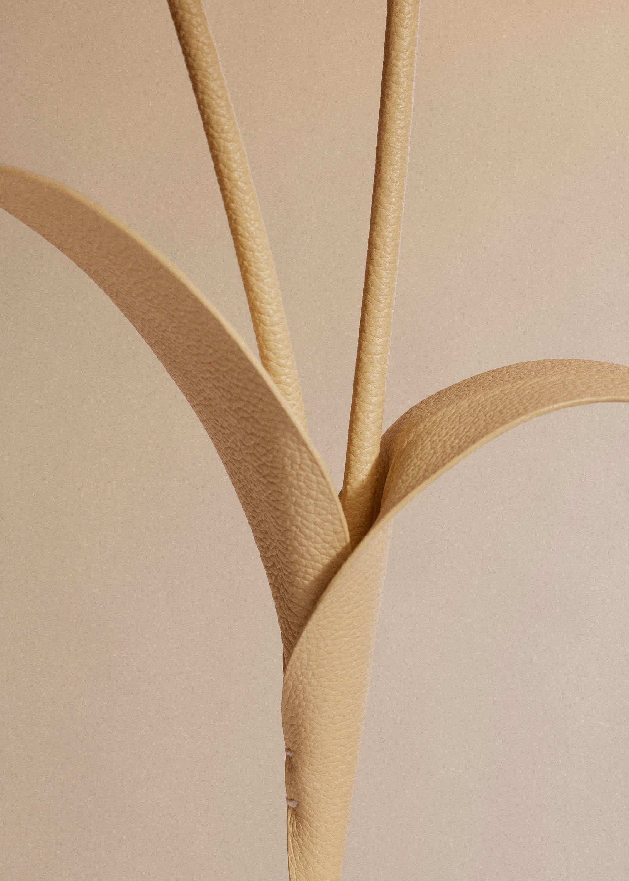 Fleur Touka - Trio Bl茅 Grain茅、mySite、camillekostekn