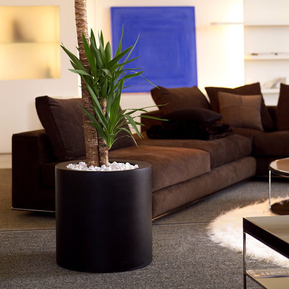  Cilindro Alto Planter、mySite、sugarbowlscore