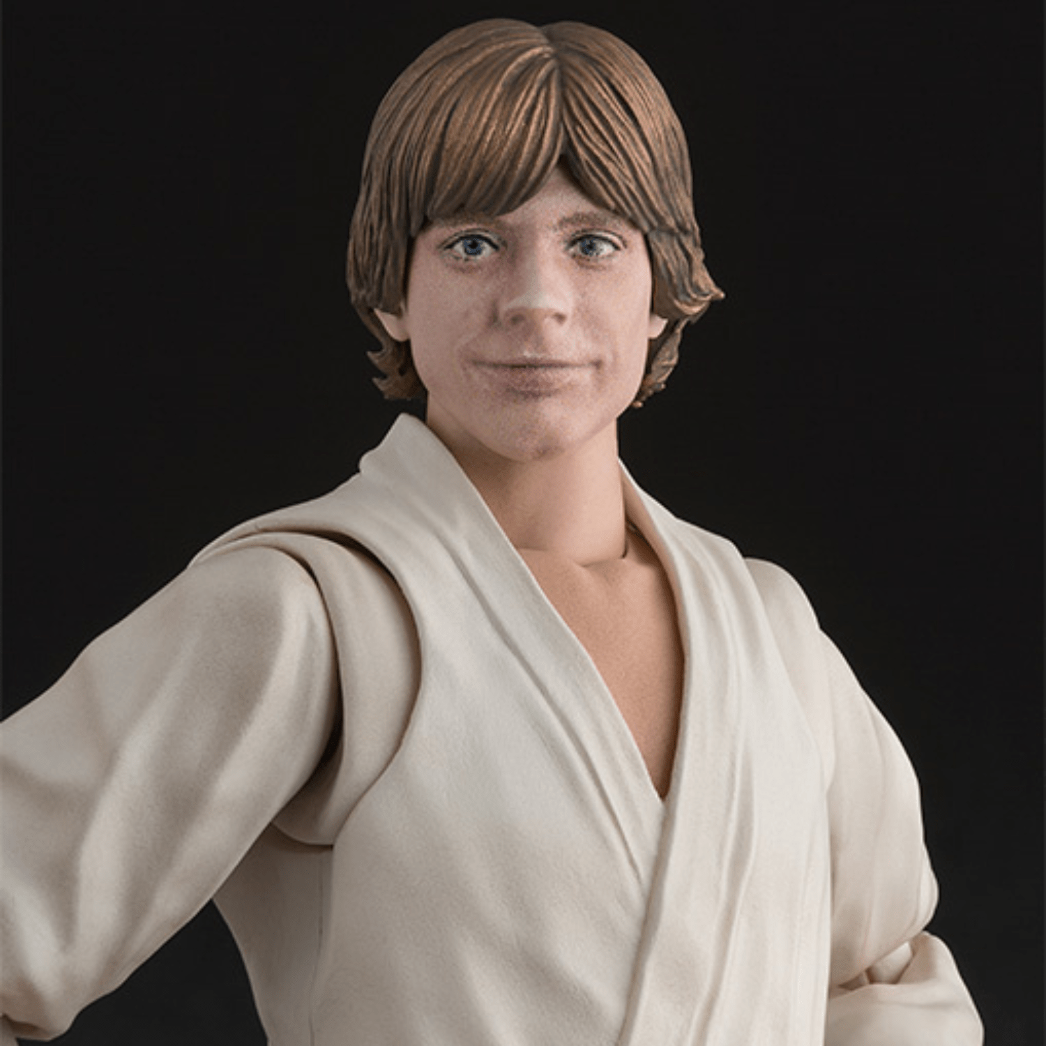 S.H. Figuarts Star Wars Luke Skywalker (A New Hope)、mySite、hgirdovlk
