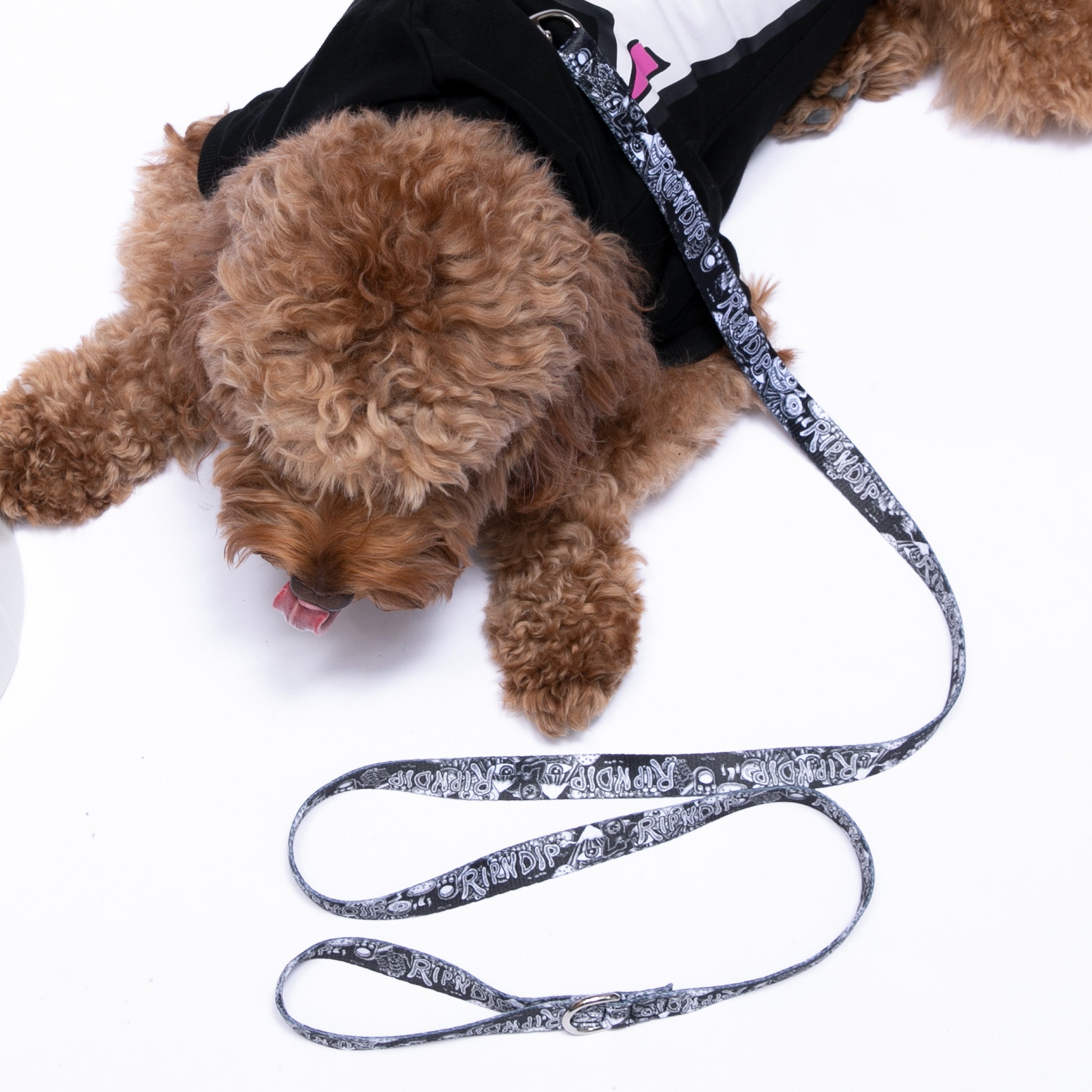  Dark Twisted Fantasy Pet Leash (Black/White)、mySite、merchandisen