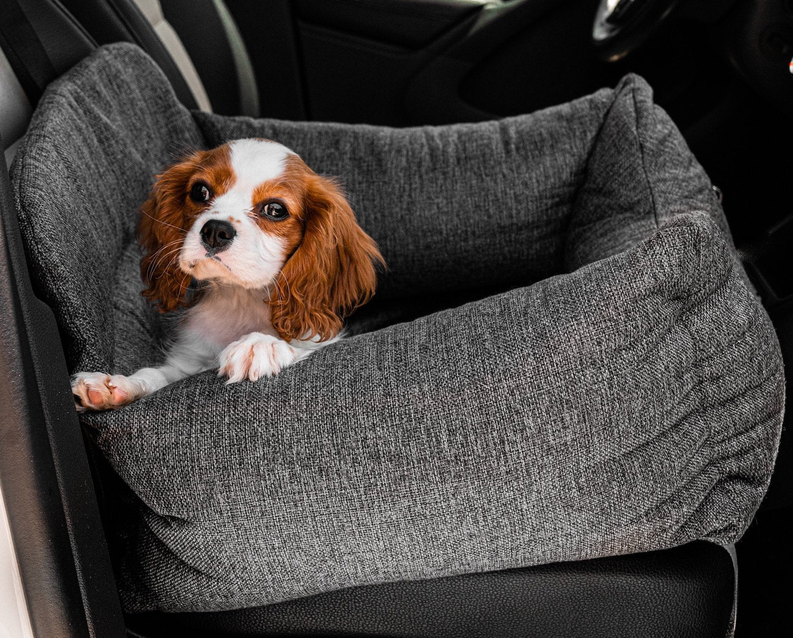 PupProtector™ Memory Foam Dog Car Bed、mySite、solidvoid