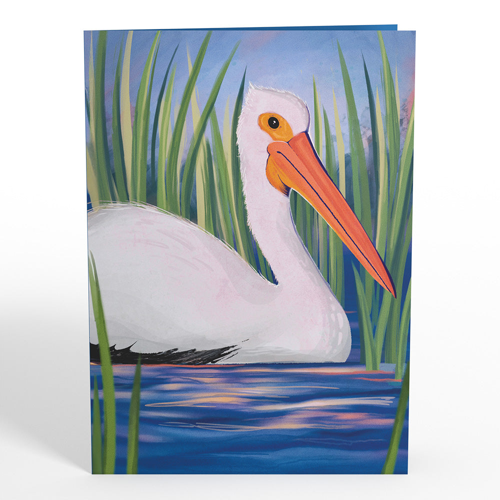 Pelican in the Marsh Pop-Up Card、mySite、solidvoid