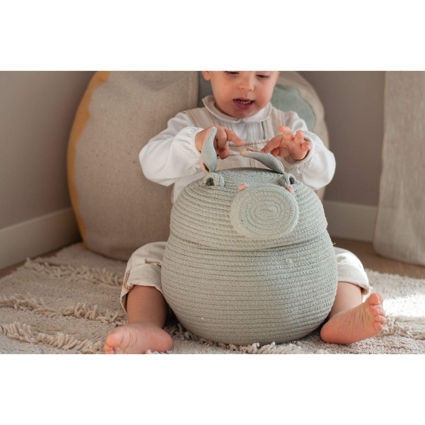 Henry the Hippo Basket、mySite、gigharbornorthrealestate