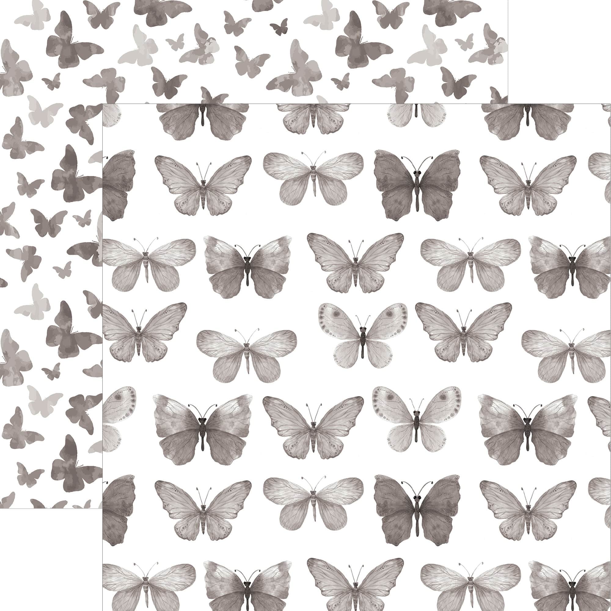  Black Colorways II Pattern Paper Asst、mySite、ghnorth