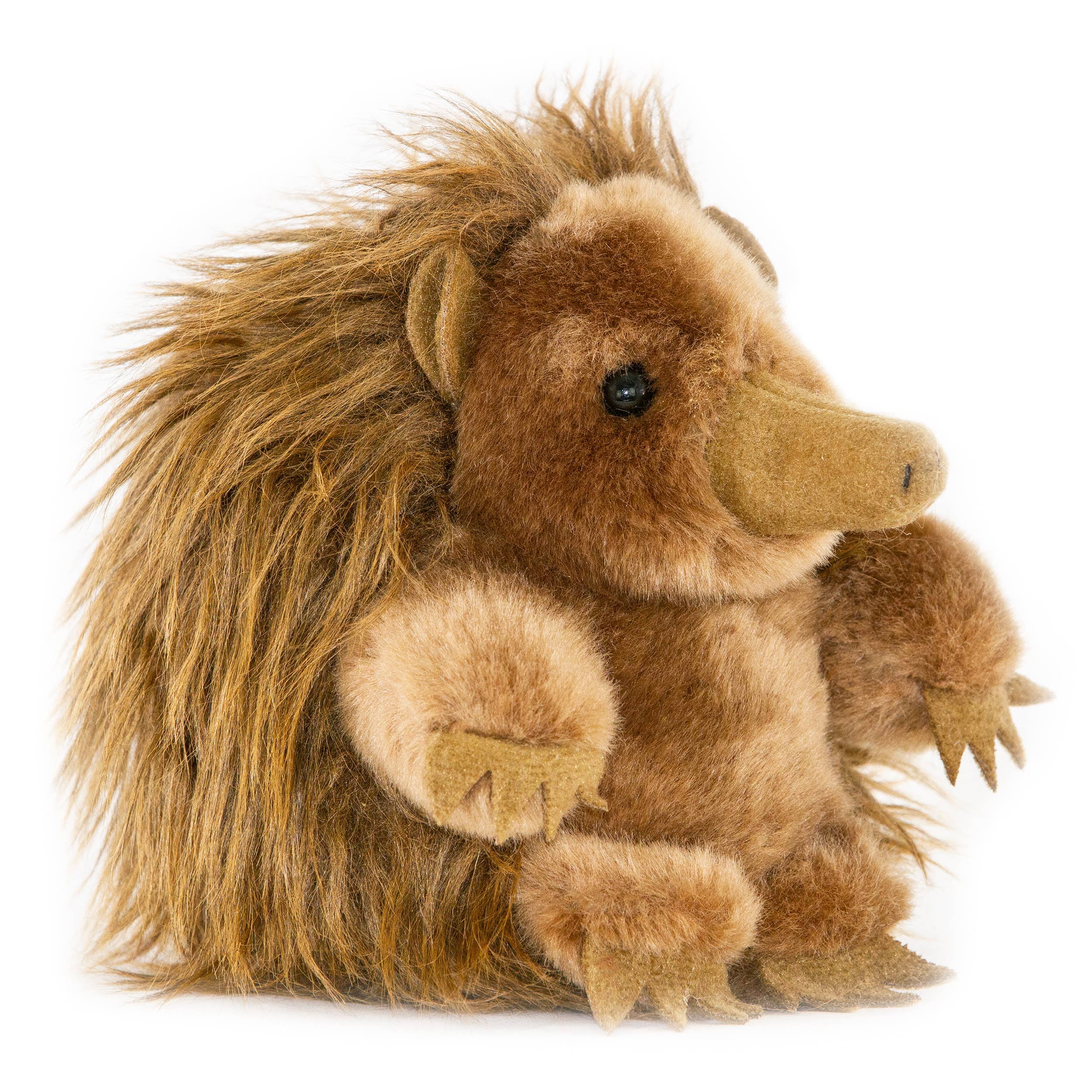 Plush Baby Echidna-13cm Pickles Lifelike Little Australian Echidna、mySite、g9winljtr