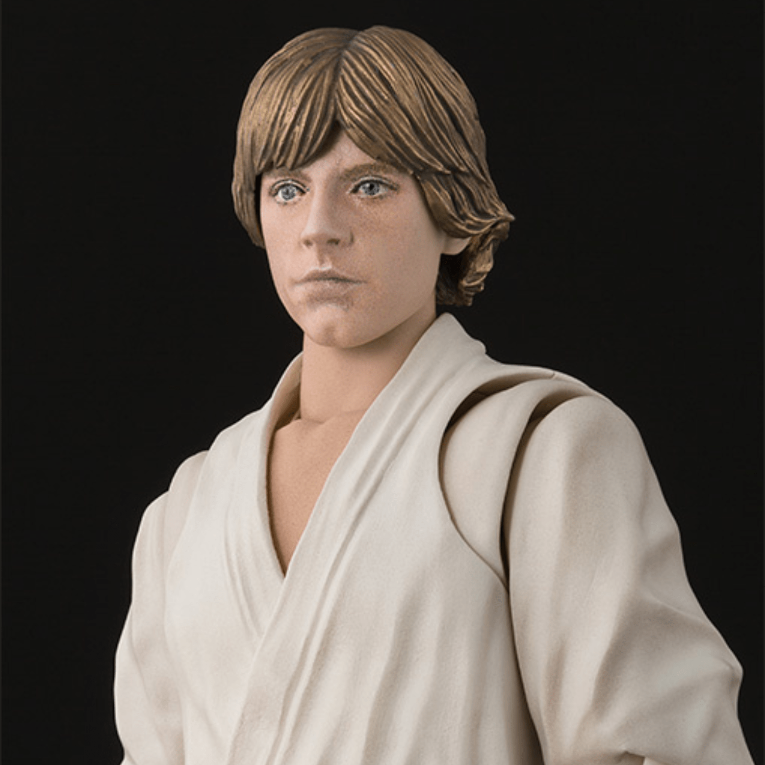 S.H. Figuarts Star Wars Luke Skywalker (A New Hope)、mySite、hgirdovlk