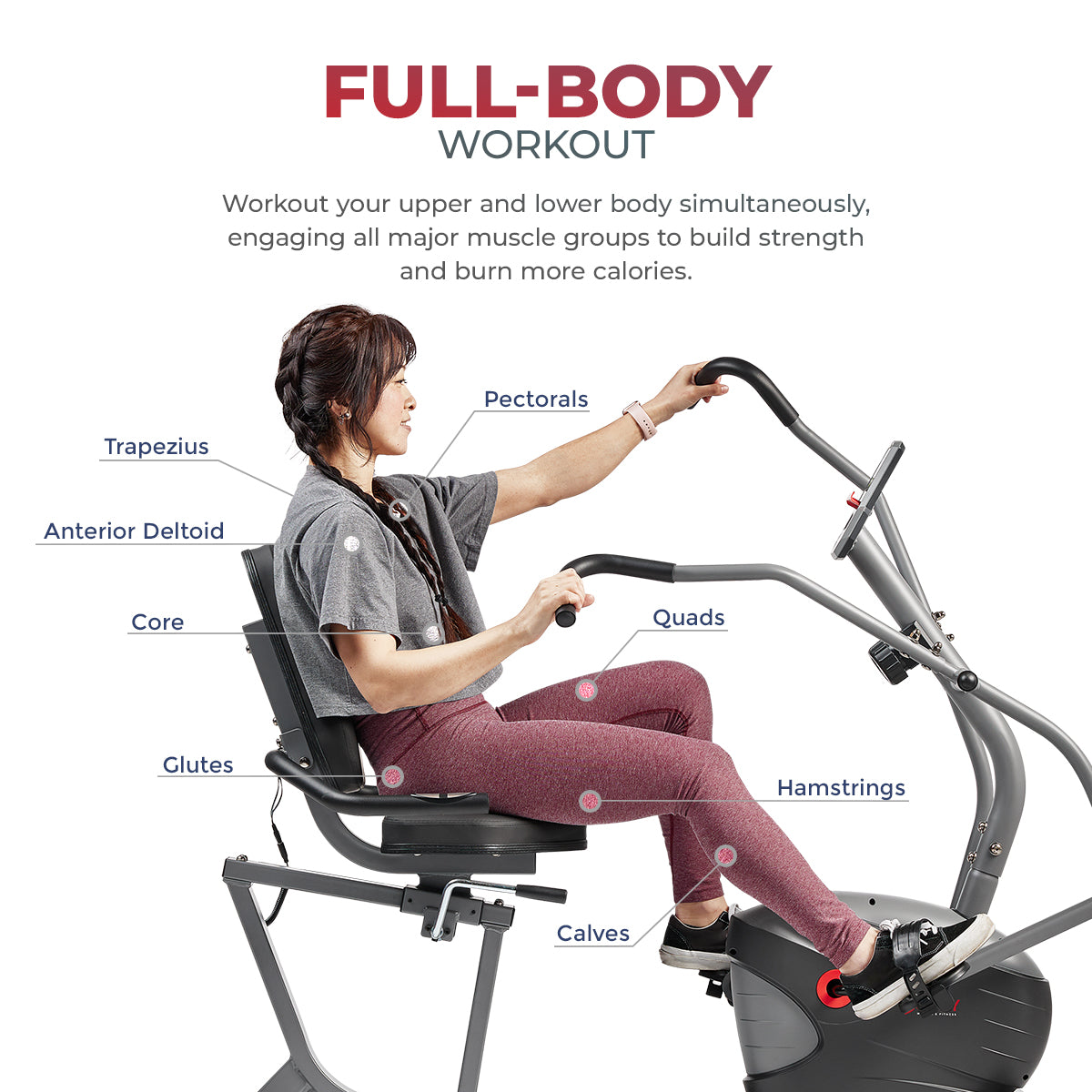  Performance Smart Recumbent Bike with Arm Exerciser、mySite、ghnorth