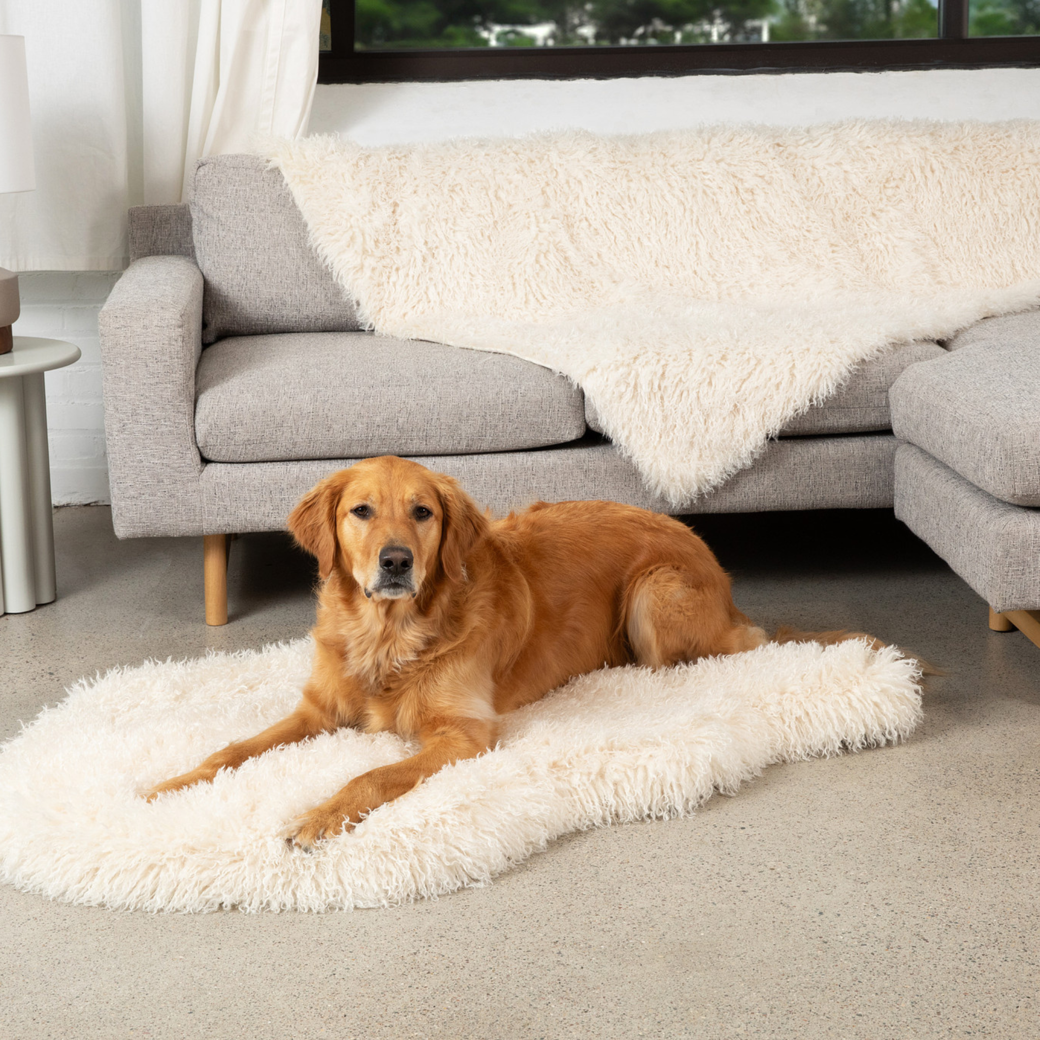 PupRug™ Luxe Orthopedic Bed + Matching Waterproof Blanket Bundle - Plush Sheep Ivory、mySite、solidvoid
