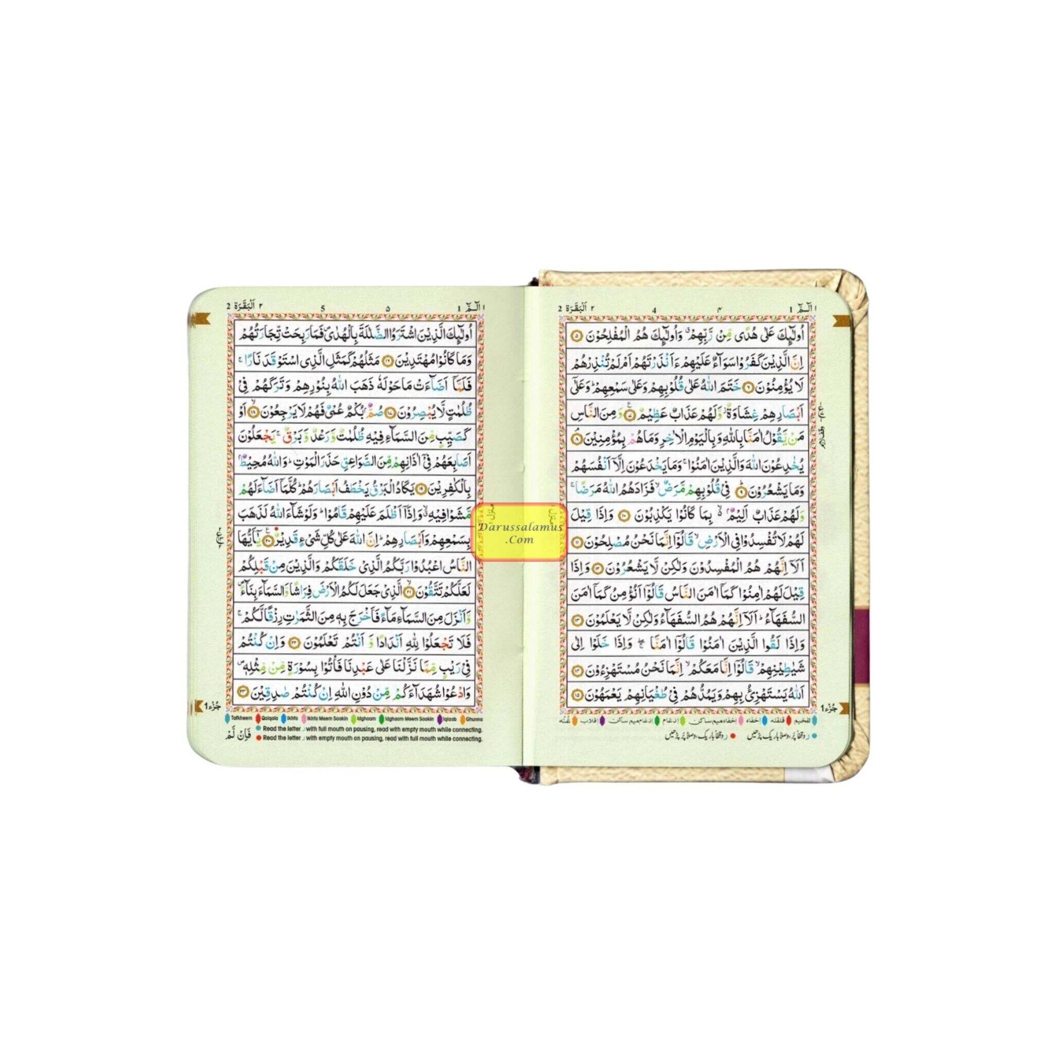 The Holy Quran Colour Coded Tajweed Rules in English and Urdu (Ref -147) 15 Lines Quran (Pocket Size)、mySite、topwebapps