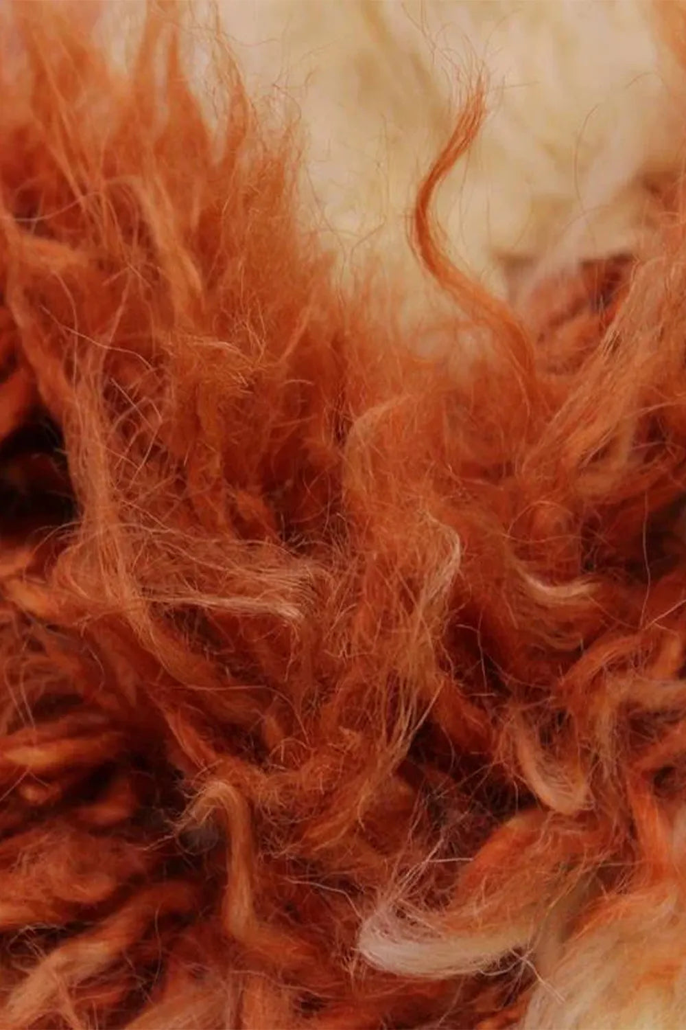 Burnt Orange and Cream Moroccan Shag Wool Rug、mySite、gigharbornorthrealestate