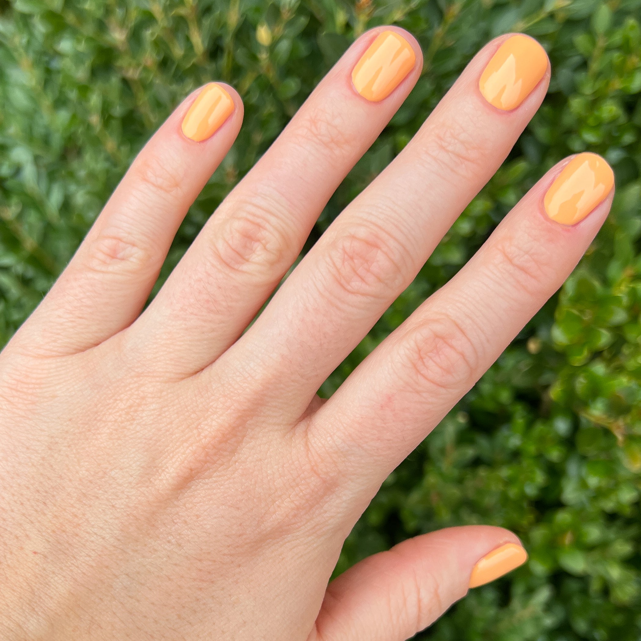 Counselor In Training、mySite、solidvoid