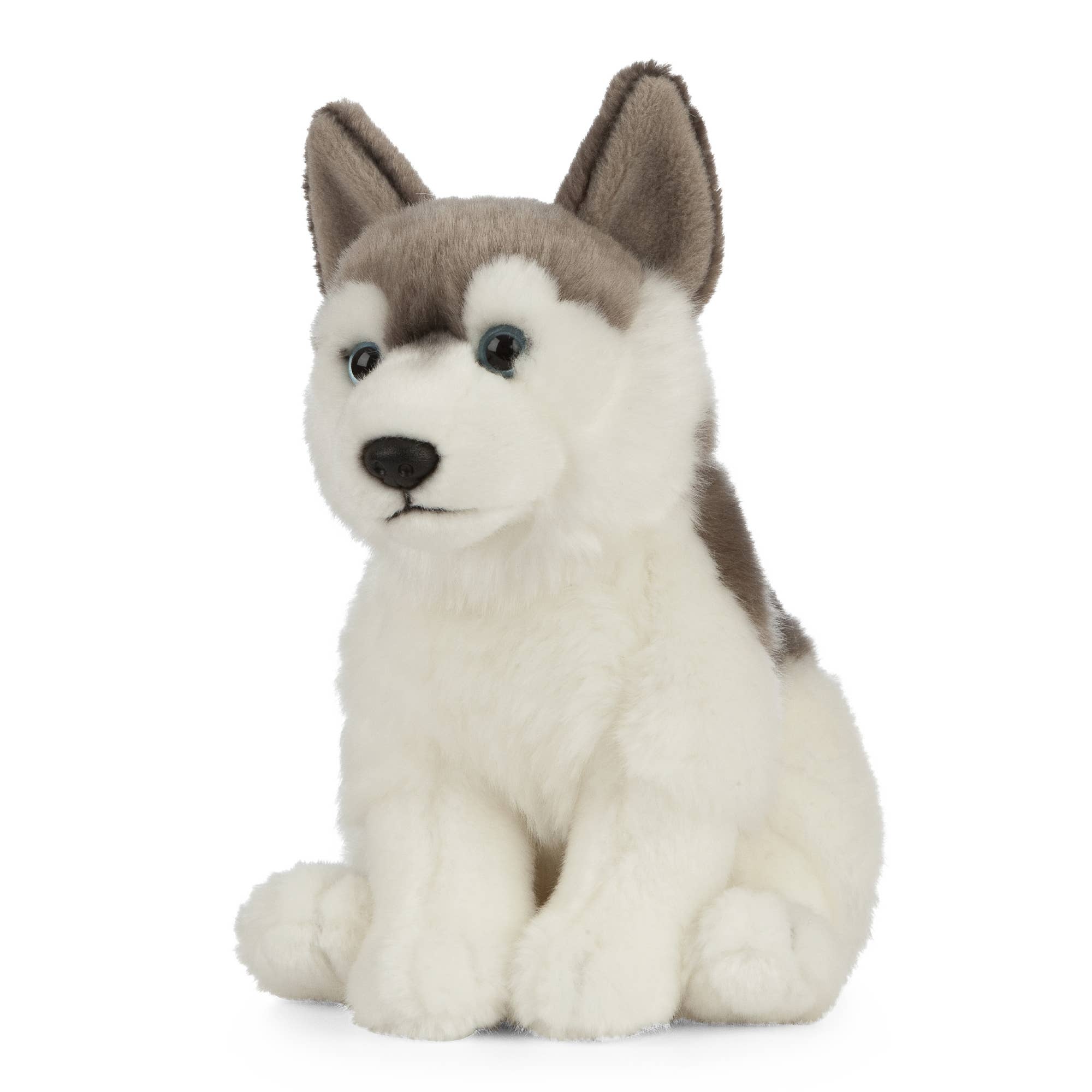 Husky Sitting Plush、mySite、g9winljtr