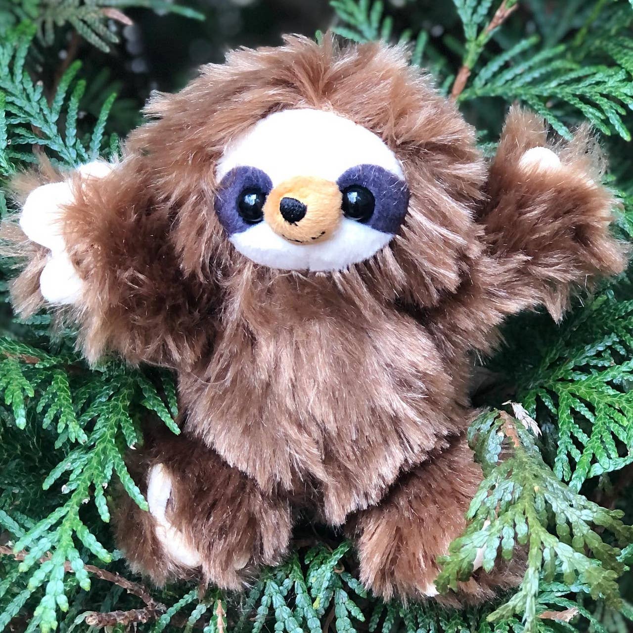 Mini Stuffed Little Bitty Sloth Plushie、mySite、g9winljtr