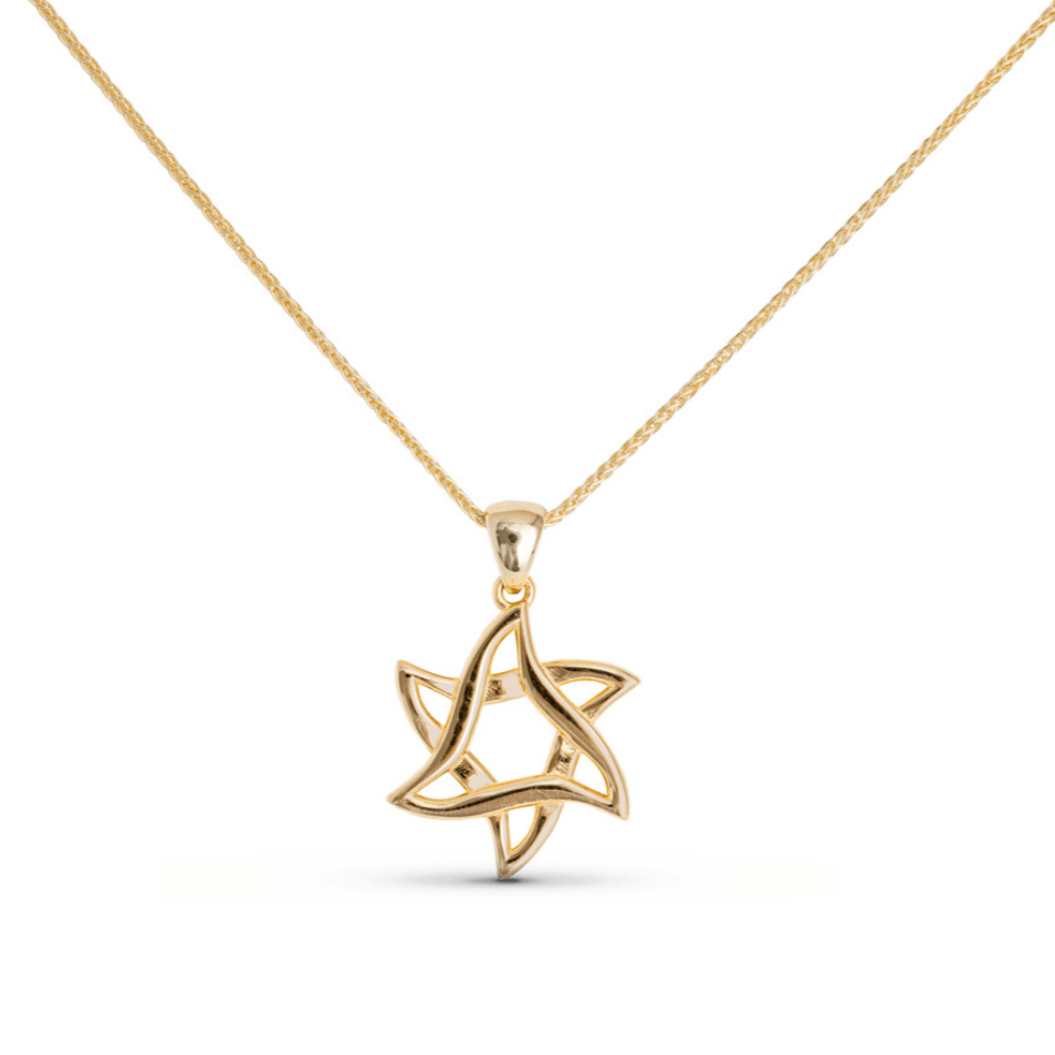 Weave Star of David Necklace by Israel Museum - 14k Gold、mySite、topwebapps
