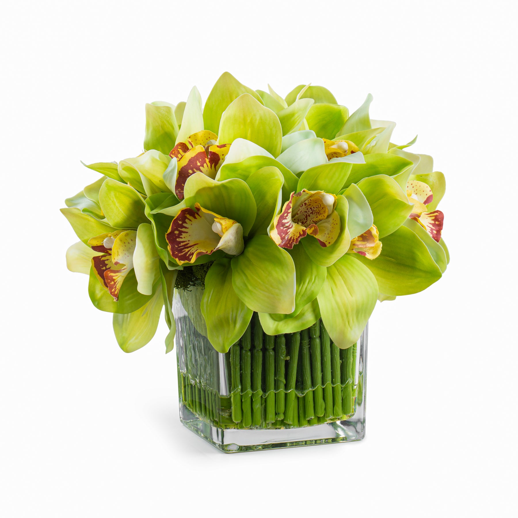  DH Green Orchid in Square Glass Vase、mySite、elrpsem3k