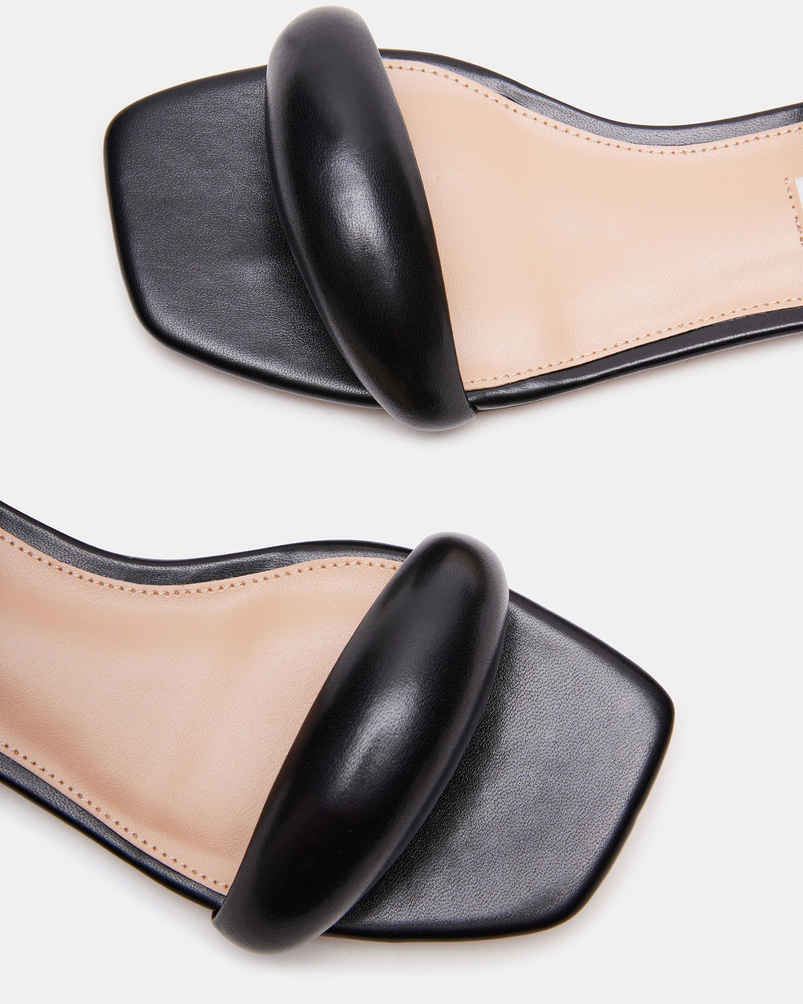 CAPELLA BLACK - SM REBOOTED、mySite、gtrtttuynbv