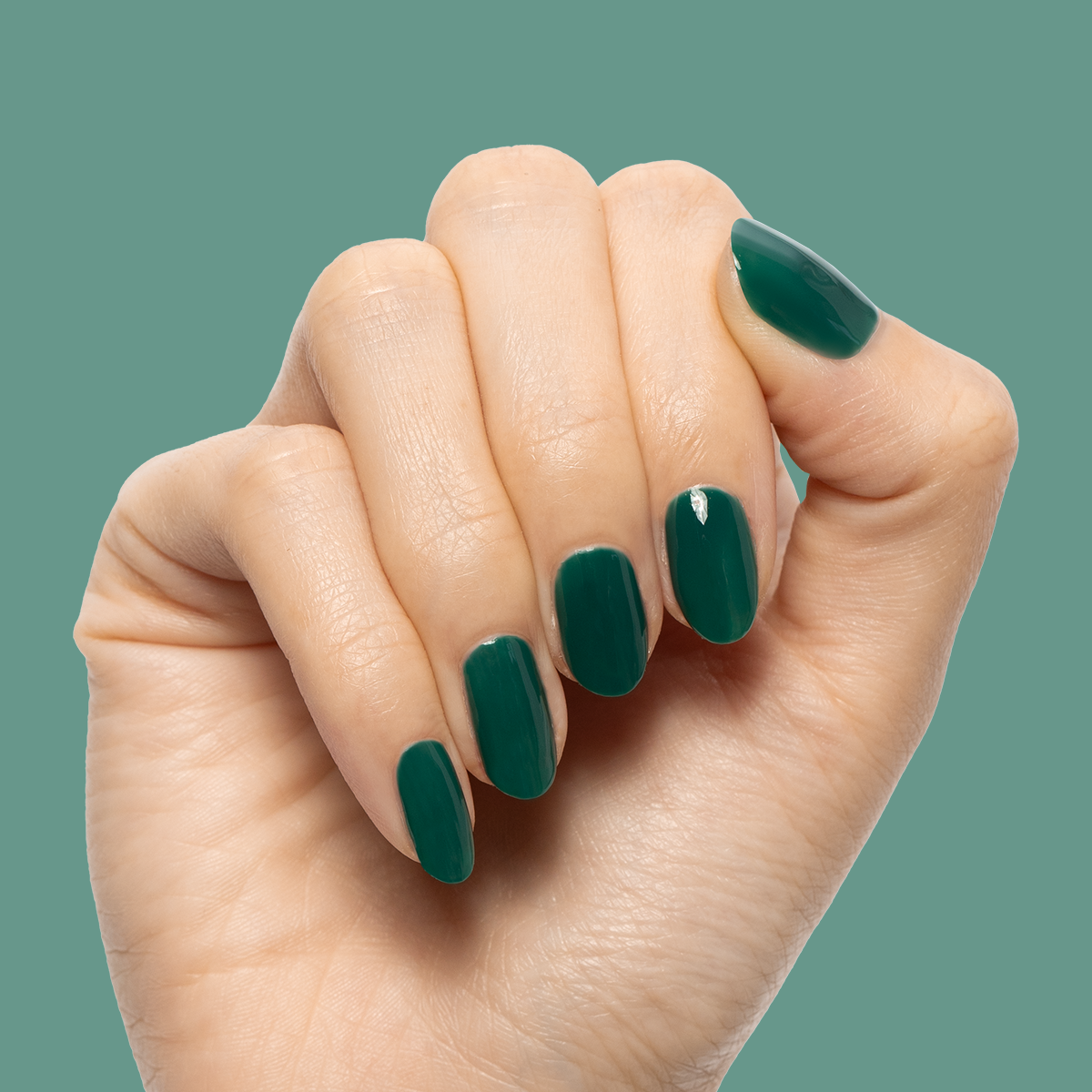 Fiddlefig - Gel、mySite、solidvoid