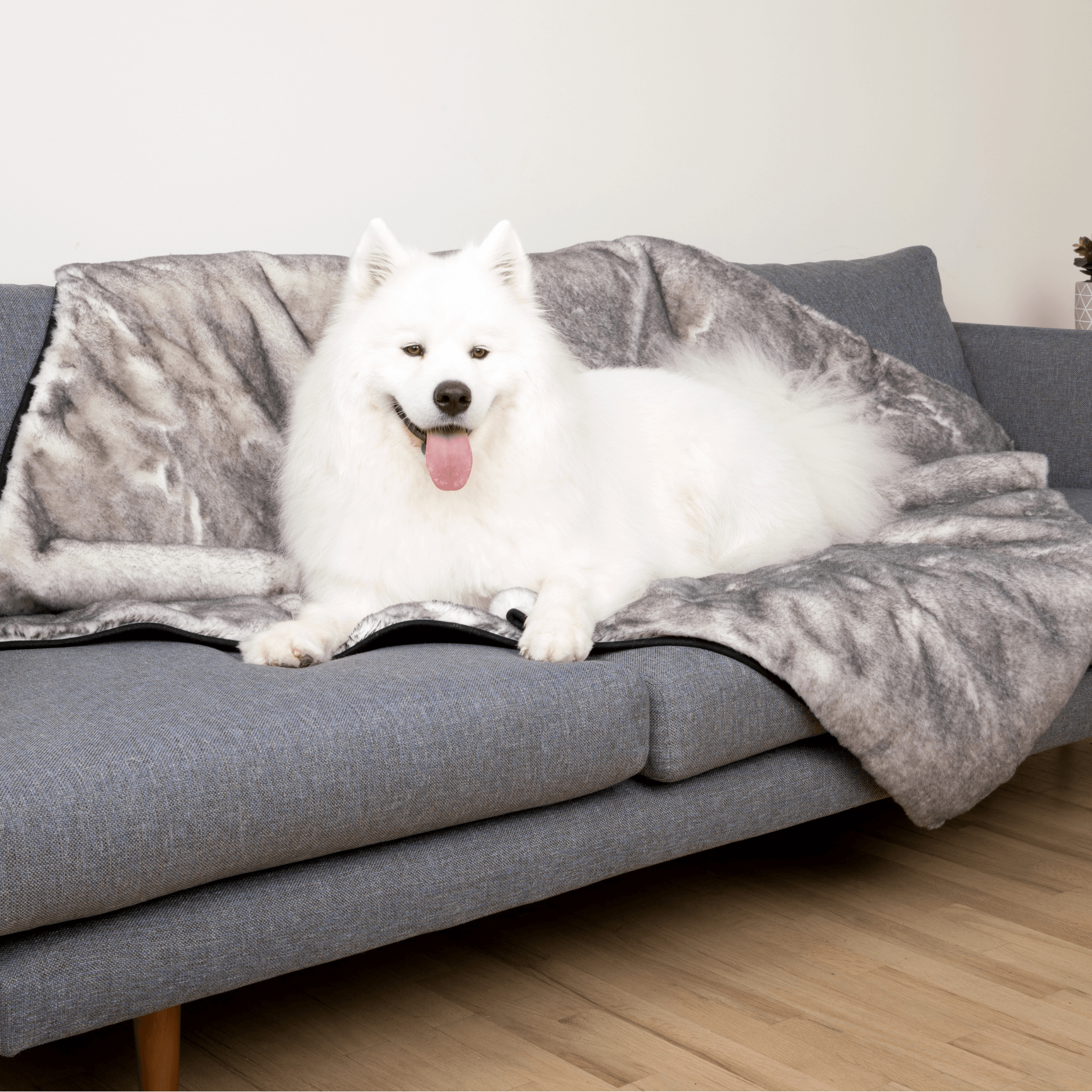 PupProtector™ Luxe Waterproof Faux Fur Blanket - Ultra Soft Chinchilla、mySite、solidvoid