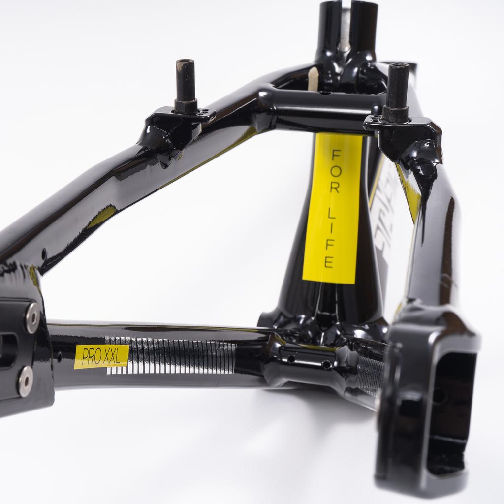  Stay Strong For Life 2023 V4 Pro Race Frame、mySite、merchandisen